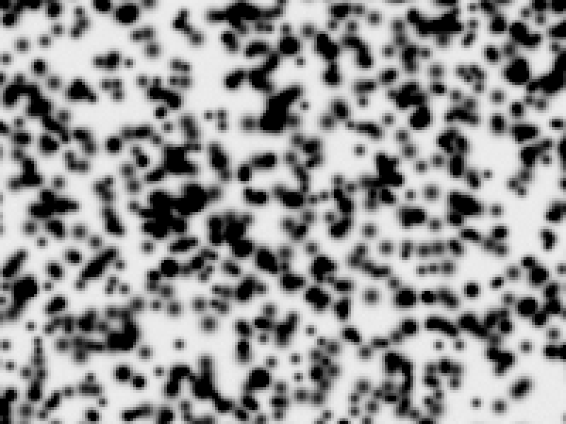A close view of a random speckle pattern: irregular black blobs of varying size scattered on a white background, with no repeating structure.
